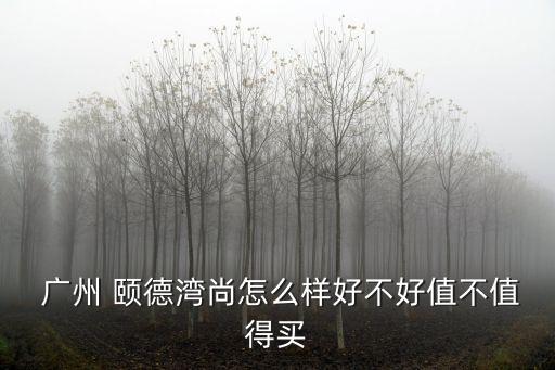  廣州 頤德灣尚怎么樣好不好值不值得買