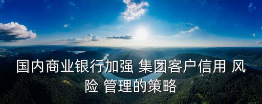 國內(nèi)商業(yè)銀行加強 集團客戶信用 風(fēng)險 管理的策略