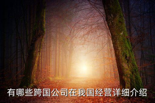 有哪些跨國公司在我國經(jīng)營詳細介紹