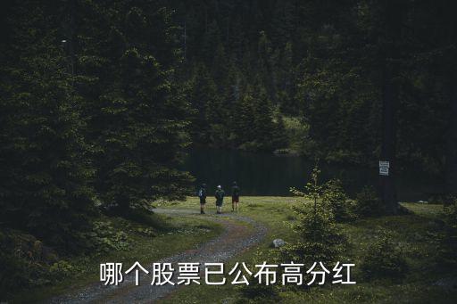 哪個(gè)股票已公布高分紅