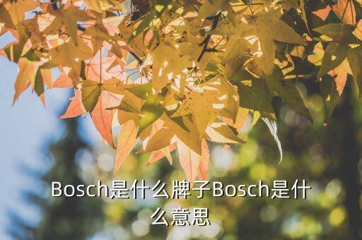 Bosch是什么牌子Bosch是什么意思