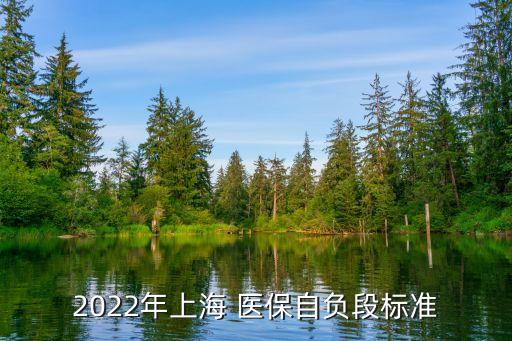 2022年上海 醫(yī)保自負(fù)段標(biāo)準(zhǔn)