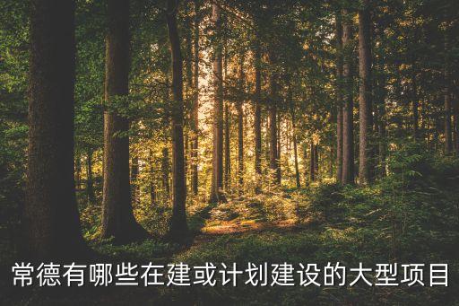 常德市匯銀投資管理公司,銀匯投資管理有限公司