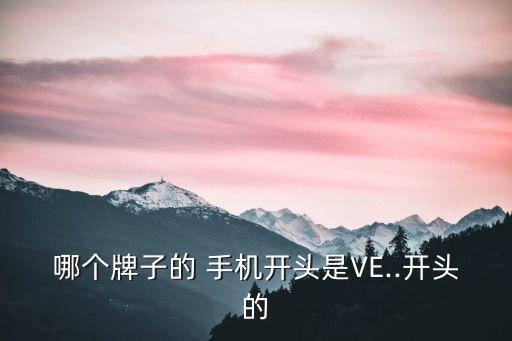 哪個(gè)牌子的 手機(jī)開頭是VE..開頭的