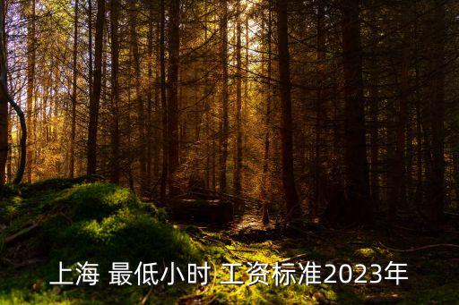 上海 最低小時(shí) 工資標(biāo)準(zhǔn)2023年