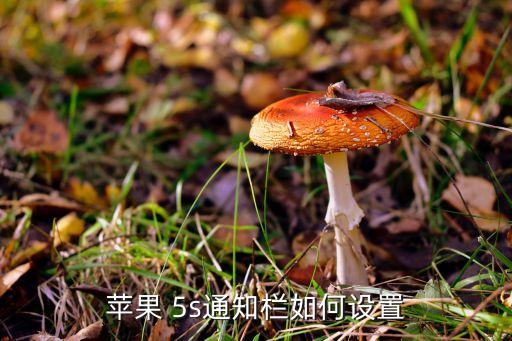 蘋果 5s通知欄如何設置