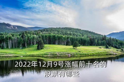 2022年12月9號漲幅前十名的 股票有哪些