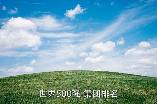 世界500強(qiáng) 集團(tuán)排名