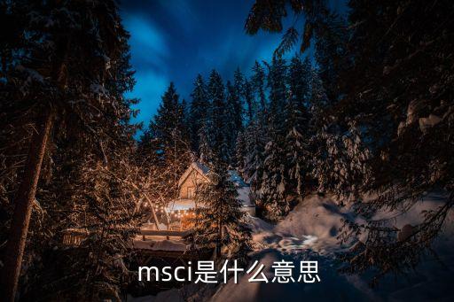  msci是什么意思