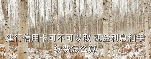 建行信用卡可不可以取 現(xiàn)金利息和手續(xù)費(fèi)怎么算