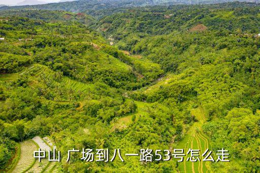  中山 廣場到八一路53號怎么走