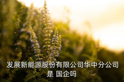  發(fā)展新能源股份有限公司華中分公司是 國企嗎