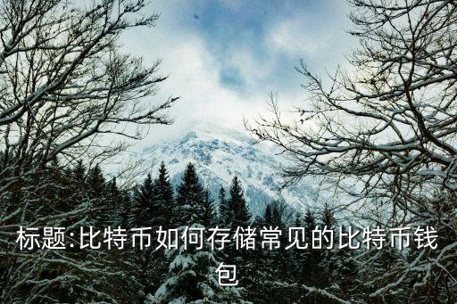 標(biāo)題:比特幣如何存儲(chǔ)常見的比特幣錢包