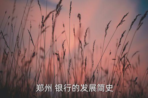  鄭州 銀行的發(fā)展簡(jiǎn)史