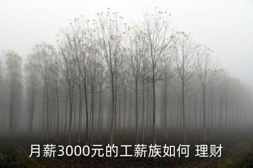 工資3千如何投資理財(cái),千海金投資理財(cái)怎么樣