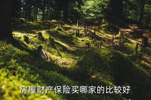 銷售財險去哪家公司,做銷售去哪家公司比較好