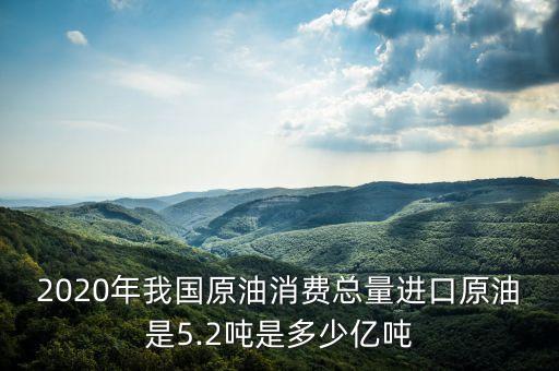 2020年我國原油消費(fèi)總量進(jìn)口原油是5.2噸是多少億噸