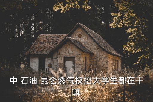 中 石油 昆侖燃?xì)庑Ｕ写髮W(xué)生都在干嘛