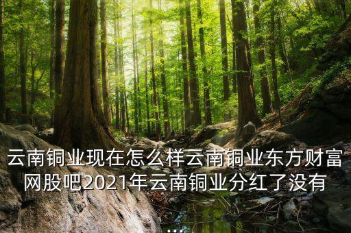 云南銅業(yè)現(xiàn)在怎么樣云南銅業(yè)東方財富網(wǎng)股吧2021年云南銅業(yè)分紅了沒有...