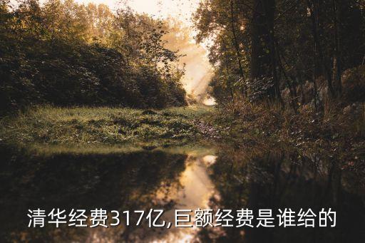 清華經(jīng)費317億,巨額經(jīng)費是誰給的