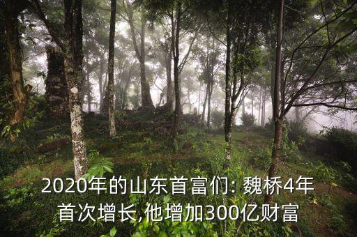 2020年的山東首富們: 魏橋4年首次增長,他增加300億財(cái)富