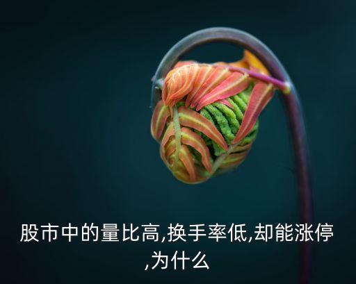 哈高科股票行情