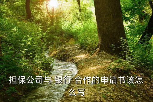 擔(dān)保公司與 銀行 合作的申請書該怎么寫