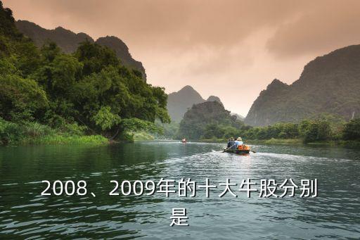 2008、2009年的十大牛股分別是