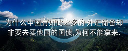 為什么中國有如此之多的 外匯儲備卻非要去買他國的國債,為何不能拿來...