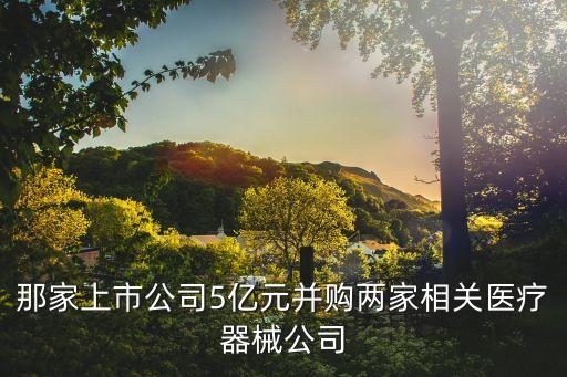 那家上市公司5億元并購兩家相關醫(yī)療器械公司