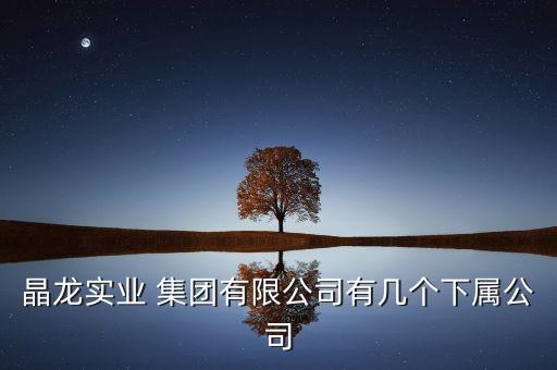 晶龍實業(yè) 集團有限公司有幾個下屬公司