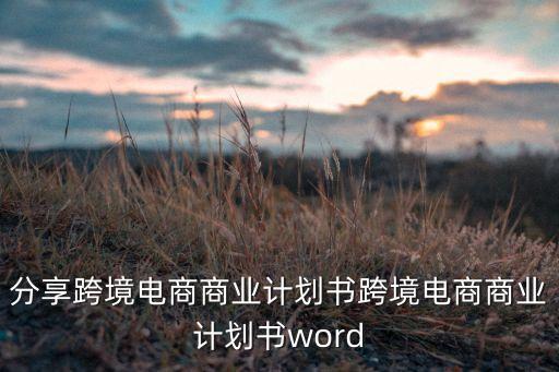 分享跨境電商商業(yè)計劃書跨境電商商業(yè)計劃書word