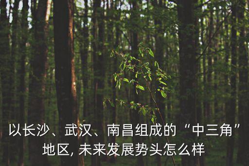 以長(zhǎng)沙、武漢、南昌組成的“中三角”地區(qū), 未來發(fā)展勢(shì)頭怎么樣