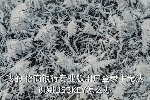 我的 招商銀行專業(yè)版用戶登錄上無(wú)法識(shí)別USBKEY怎么辦