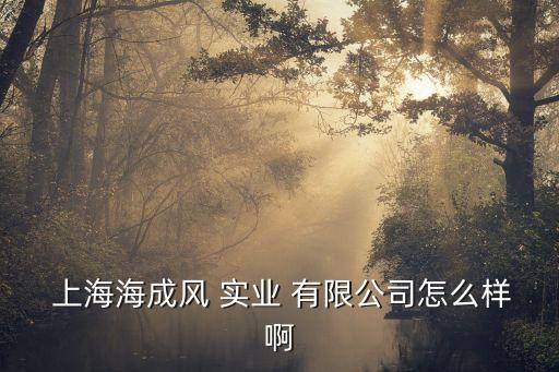 上海豐全實(shí)業(yè)有限公司,深圳豐全供應(yīng)鏈管理有限公司