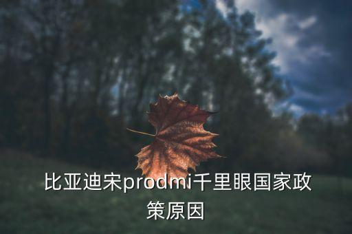 比亞迪上海補貼,上海比亞迪漢補貼政策