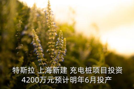  特斯拉 上海新建 充電樁項(xiàng)目投資4200萬(wàn)元預(yù)計(jì)明年6月投產(chǎn)