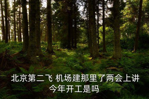  北京第二飛 機(jī)場建那里了兩會上講今年開工是嗎