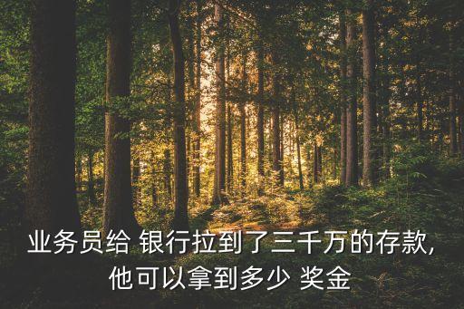 業(yè)務(wù)員給 銀行拉到了三千萬的存款,他可以拿到多少 獎金