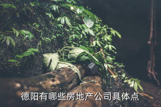 德陽(yáng)有哪些房地產(chǎn)公司具體點(diǎn)