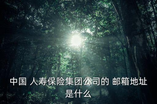 中國 人壽保險(xiǎn)集團(tuán)公司的 郵箱地址是什么