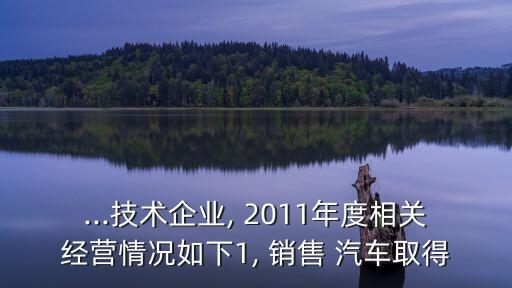 ...技術企業(yè), 2011年度相關經營情況如下1, 銷售 汽車取得