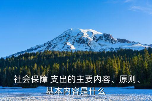  社會保障 支出的主要內容、原則、基本內容是什么