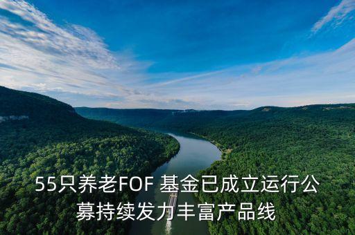 55只養(yǎng)老FOF 基金已成立運行公募持續(xù)發(fā)力豐富產(chǎn)品線