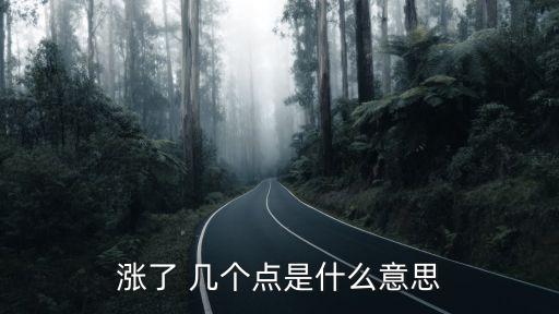 漲了 幾個點(diǎn)是什么意思