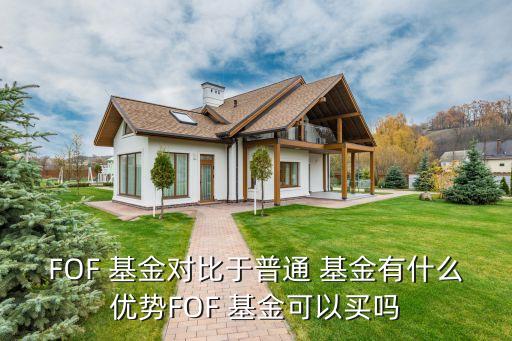 FOF 基金對(duì)比于普通 基金有什么優(yōu)勢(shì)FOF 基金可以買(mǎi)嗎