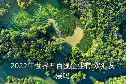 2022年世界五百強企業(yè)有 雙匯發(fā)展嗎