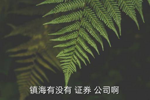 鎮(zhèn)海有沒(méi)有 證券 公司啊