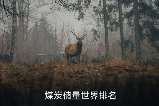  煤炭?jī)?chǔ)量世界排名