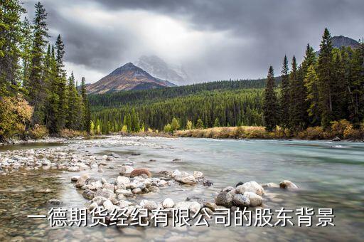 一德期貨經(jīng)紀(jì)有限公司的股東背景